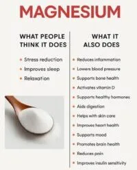 Everything To Know About Magnesium In Your Diet