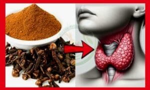 Healthy recipes4