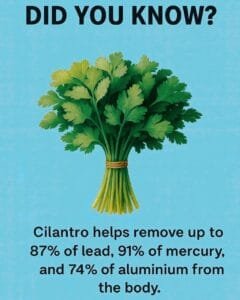 HEALTHY-RECIPES-3.jpg