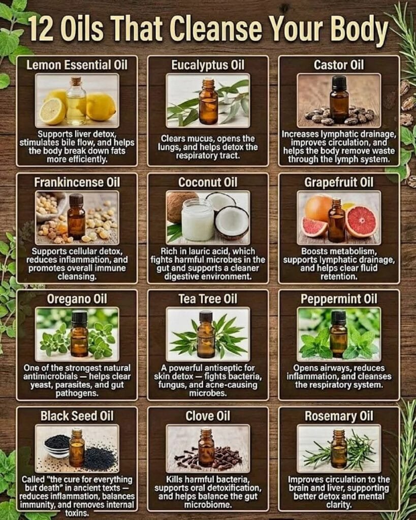 Before Pills,There Were Oils