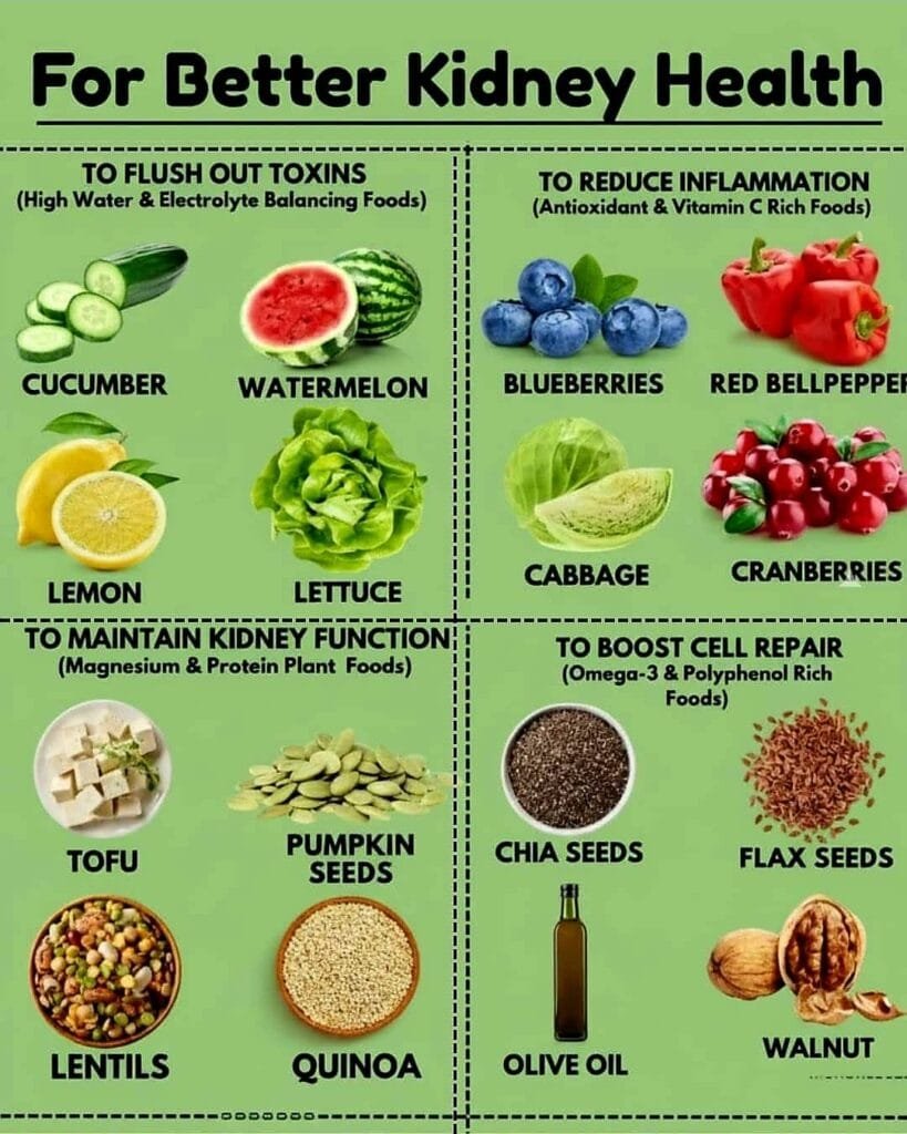 Foods for Better Kidney Health
