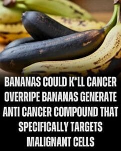 healthy recipes and tips 2