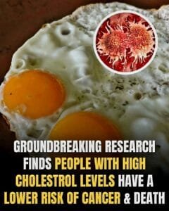 healthy recipes and tips 6