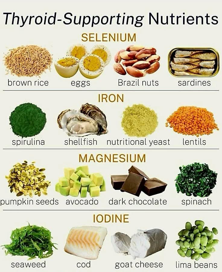 healthy recipes and tips 8