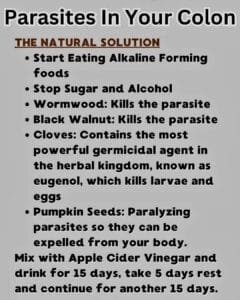 healthyrecipesandtips 2