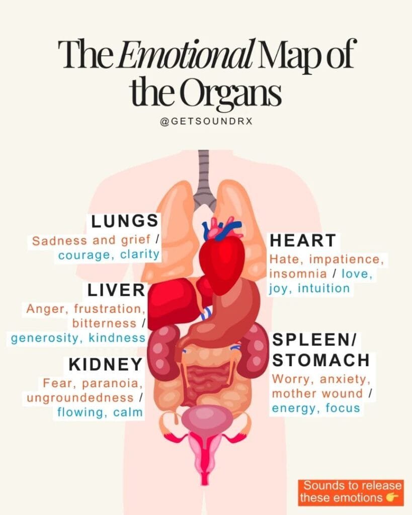 The Connection Between Frequencies, Emotions, Sounds, and the Human Body
