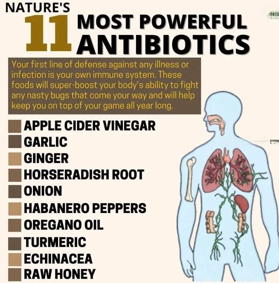 “Nature’s Most Powerful Antibiotics