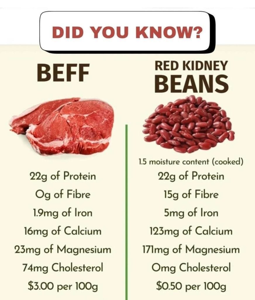 Beyond the Steak: Why Red Kidney Beans Are the Unsung Hero of Your Plate