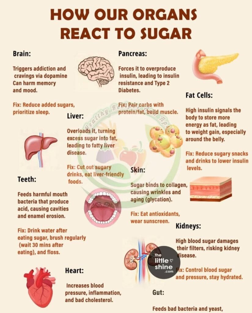 Sugar Isn’t Just About Calories — It Affects Nearly Every Organ in Your Body 1 Sugar Isn’t Just About Calories — It Affects Nearly Every Organ in Your Body