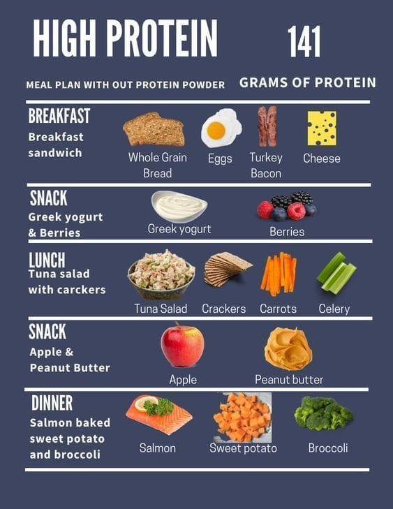 High Protein Daily Diet Inspo