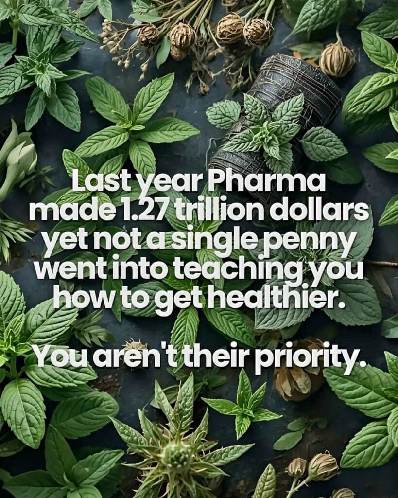Do Pharmaceutical Companies Really Care About Your Health? 1 Do Pharmaceutical Companies Really Care About Your Health?