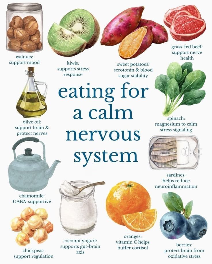 Food Sources That Calm Your Nervous System Naturally 1 Food Sources That Calm Your Nervous System Naturally