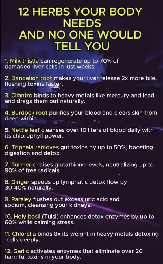 12 Herbs Your Body Needs , What Science Really Says