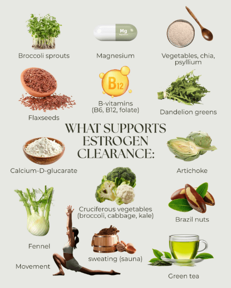 Think of estrogen metabolism like a three-stage exit system