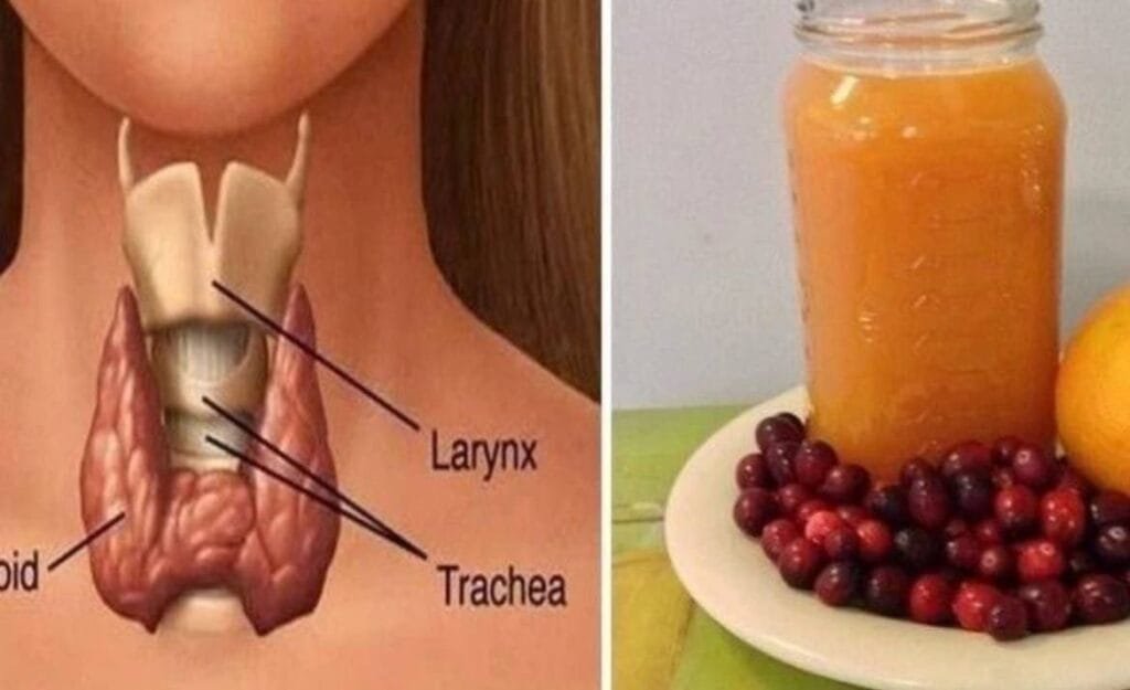 A Drink to Renew Your Thyroid & Boost Your Health