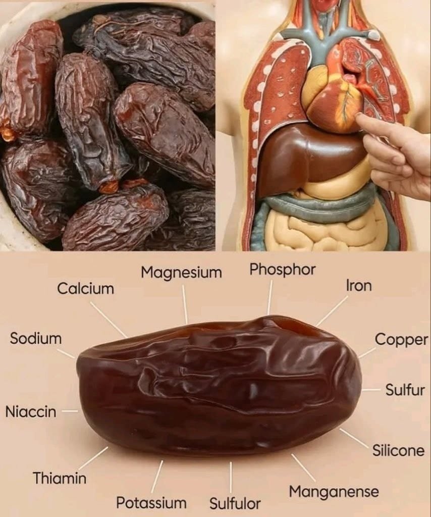 Dates: A Nutrient-Dense Superfruit and Its Impact on Human Health
