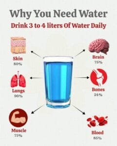 Simple Foods and Habits That Support Your Brain Eyes Heart and Overall Health