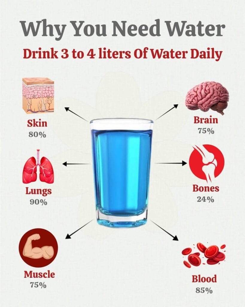 Simple Foods and Habits That Support Your Brain, Eyes, Heart, and Overall Health