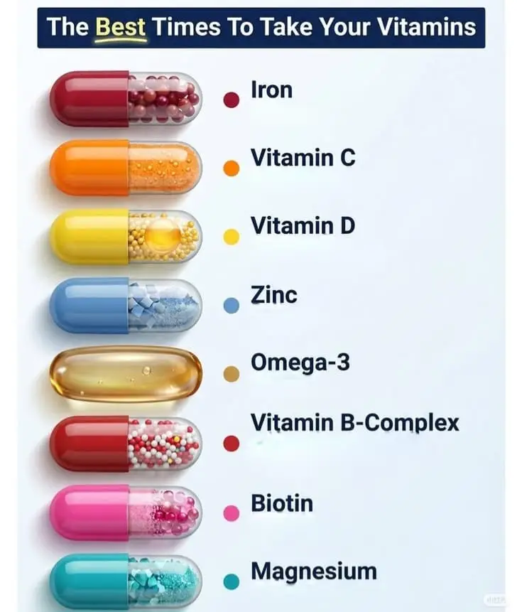 Best time to take your Vitamins