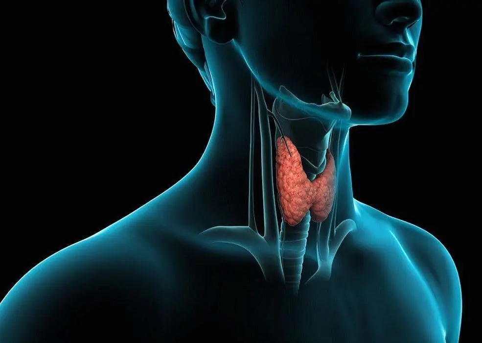 Thyroid foods.