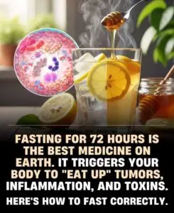 FASTING FOR 72 HOURS IS THE BEST MEDICINE ON EARTH