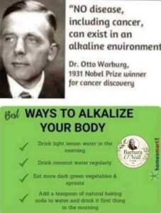 Alkaline Health Benefits 2 Alkaline Health Benefits