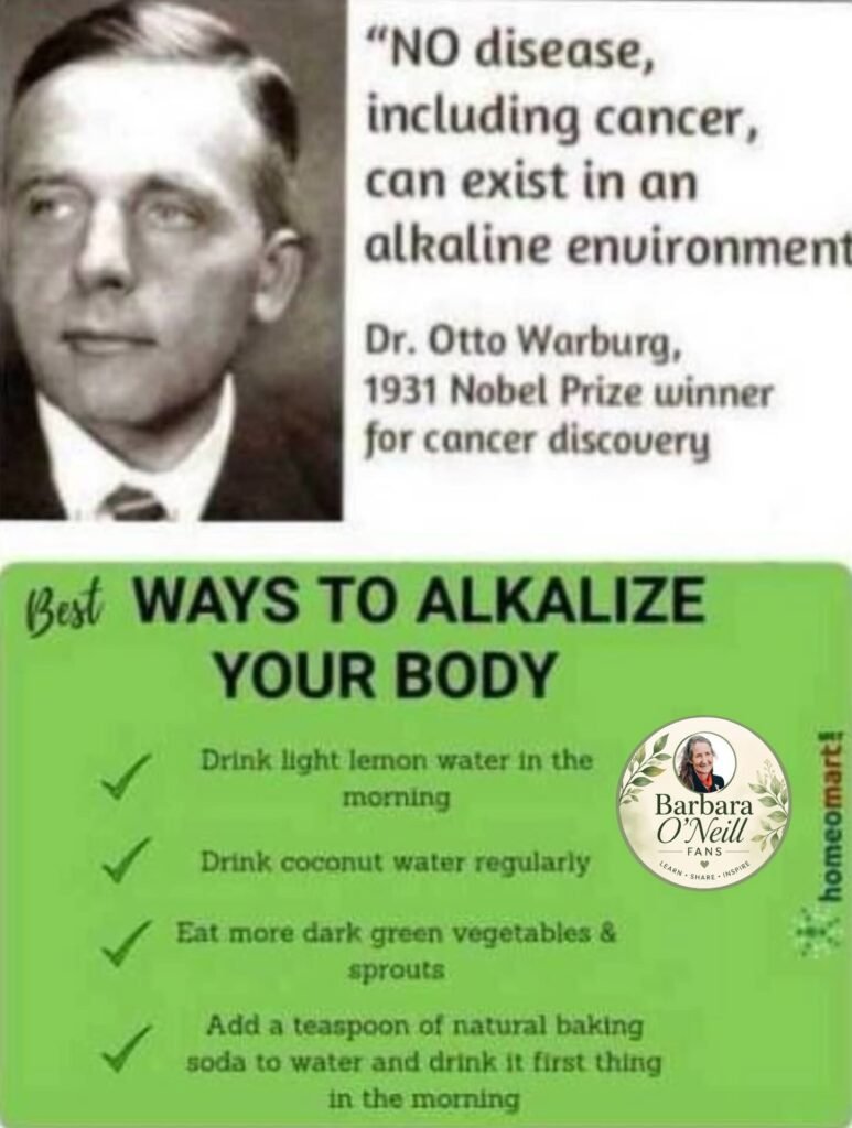 Alkaline Health Benefits 1 Alkaline Health Benefits