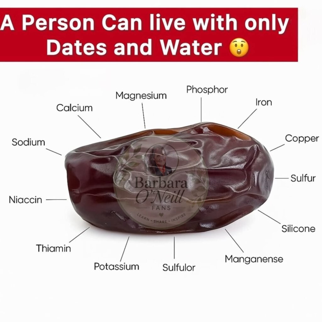Dates: Nature’s Multivitamin