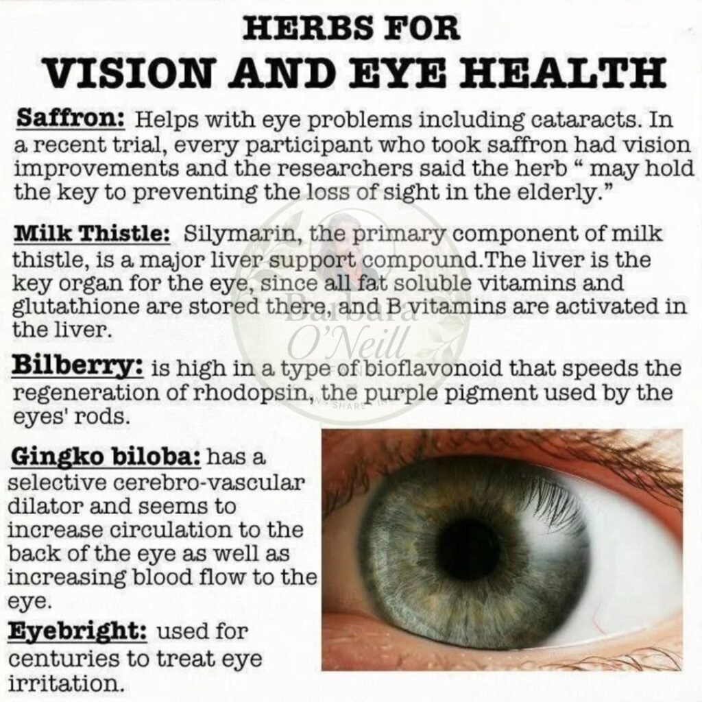 Eye Health Herbs