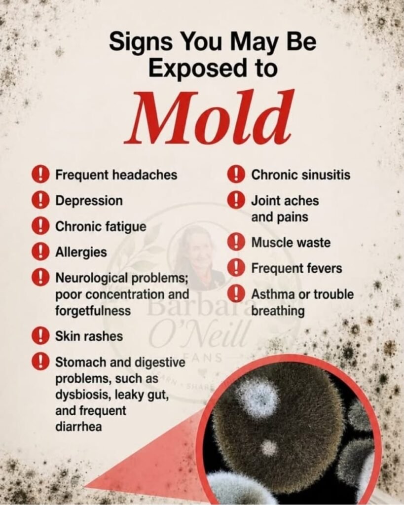 Mold Exposure