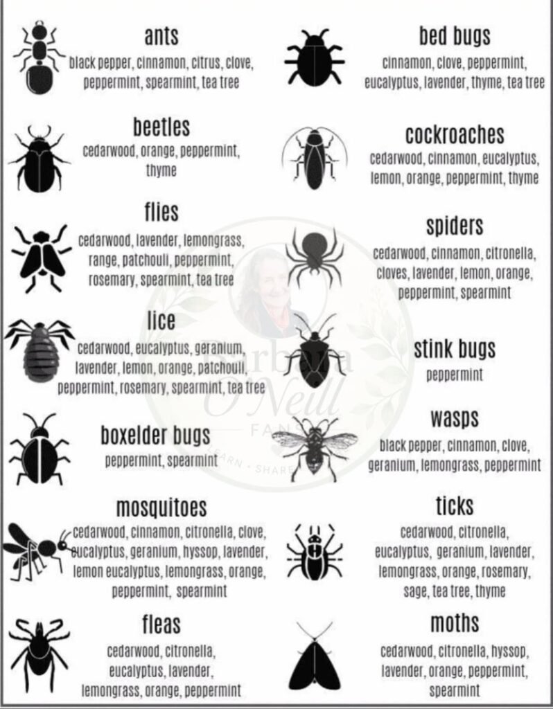 Natural Insect Repellents