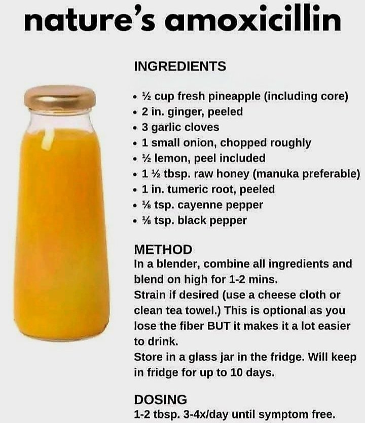 Nature’s Amoxicillin