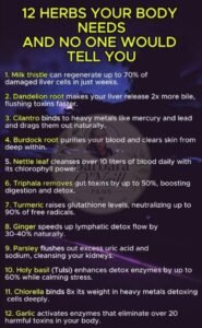 Natures Detox Allies