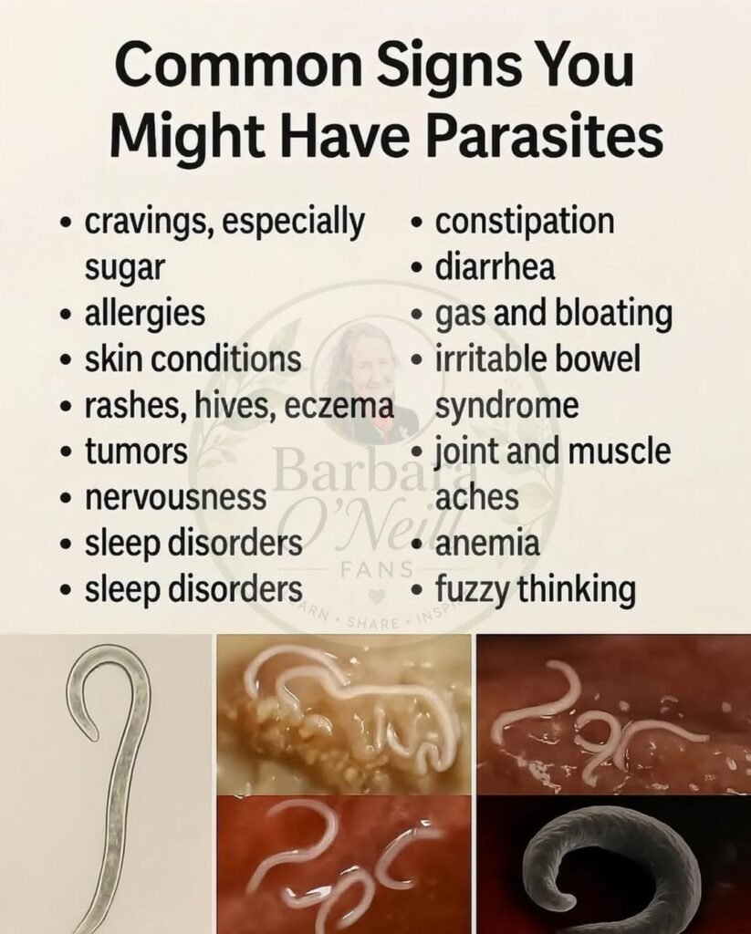 Parasite Warning Signs 1 Parasite Warning Signs