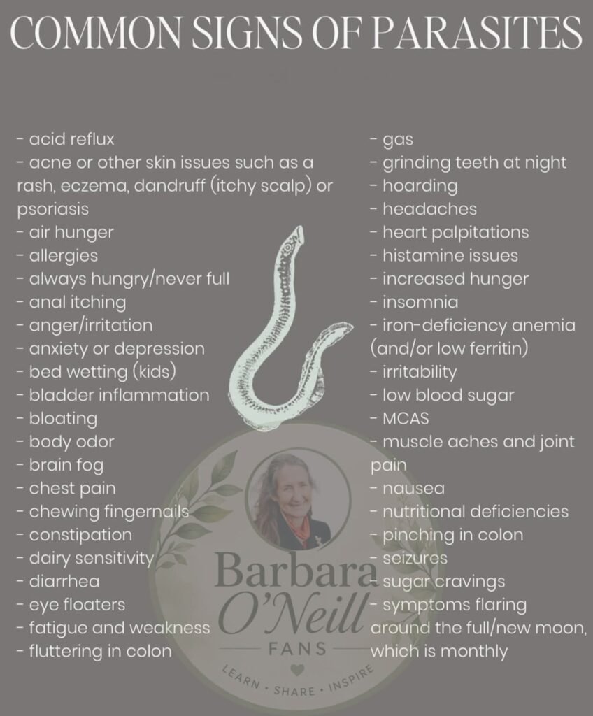 Parasites in the Human Body