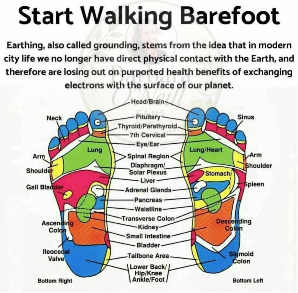Start Walking Barefoot