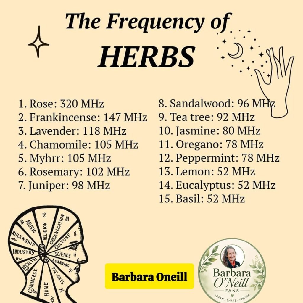 The Frequency of Herbs