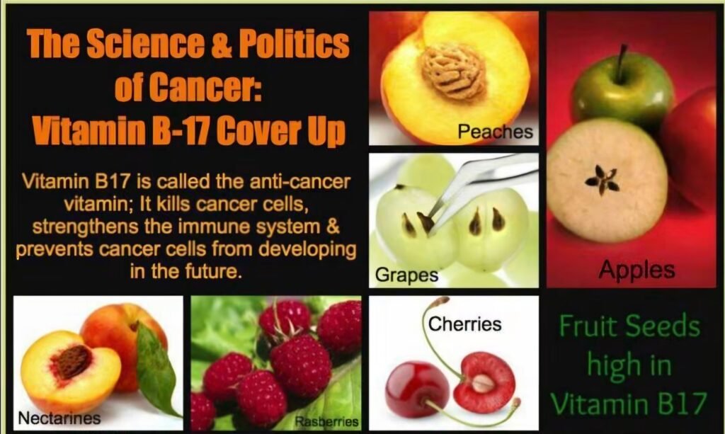 Vitamin B17: The Truth